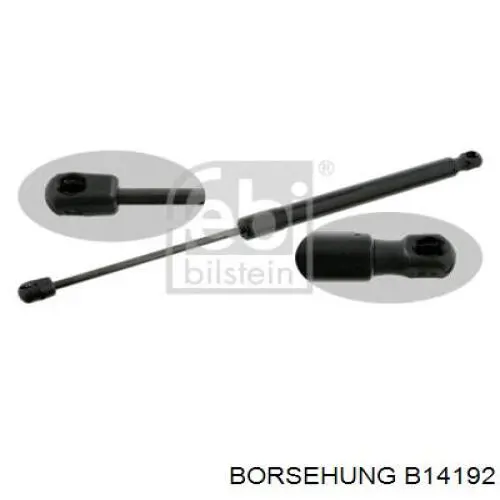 B14192 Borsehung Амортизатор кришки багажника / двері 3/5-ї задньої