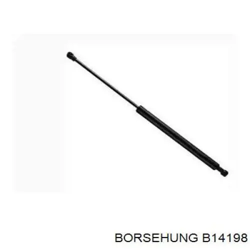 Амортизатор двері задньої Borsehung B14198 ціна, від 6.33 USD