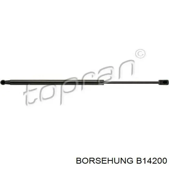 Амортизатор двері задньої Borsehung B14200 ціна, від 10.71 USD