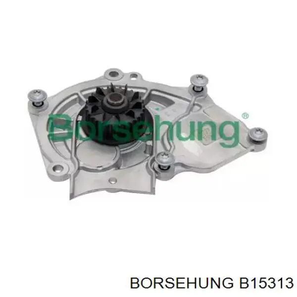 Купити B15313 Borsehung Насос охолоджуючої рідини