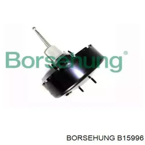 Купити B15996 Borsehung ВПГ