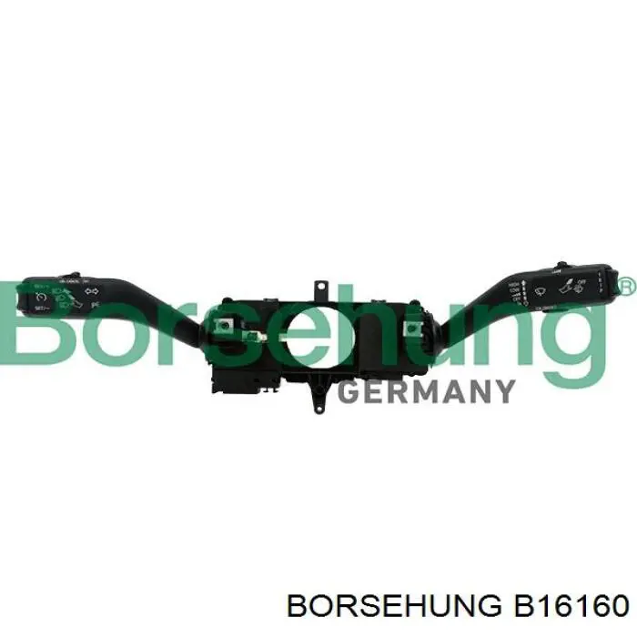  B16160 Borsehung