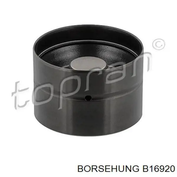 Штовхач клапана гідравлічний Borsehung B16920 ціна, від 10.01 USD