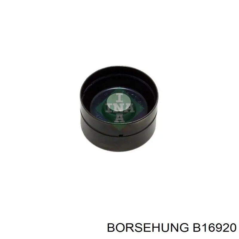 Купити B16920 Borsehung Штовхач клапанів двигуна