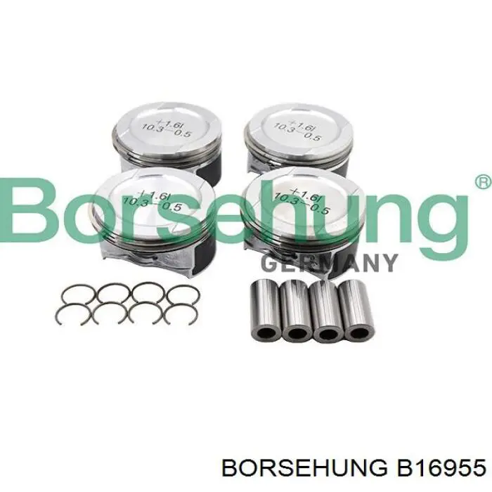 Купити B16955 Borsehung Поршень (комплект на мотор), STD