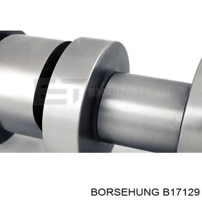 Розподілвал двигуна Borsehung B17129 ціна, від 114.62 USD