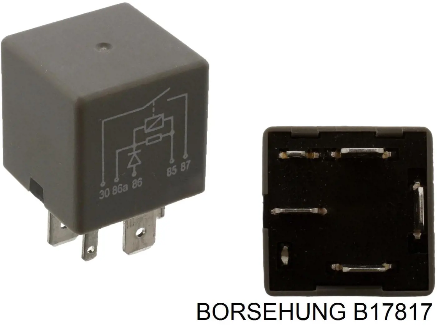 B17817 Borsehung 