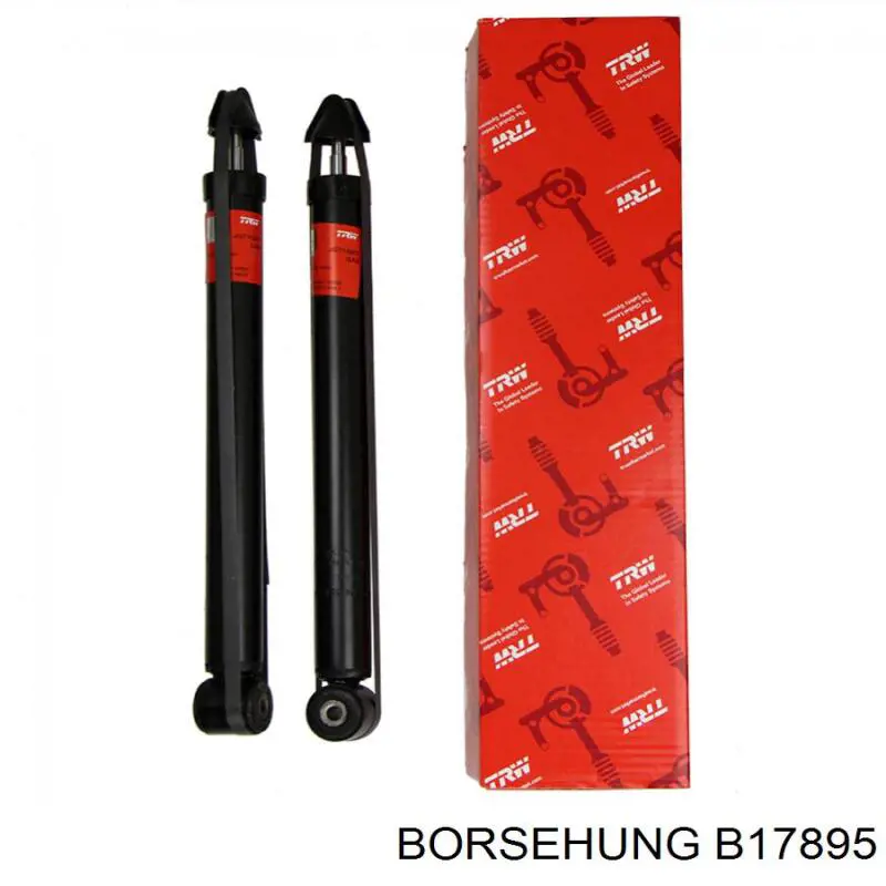 Купити B17895 Borsehung Стійка амортизатора задня