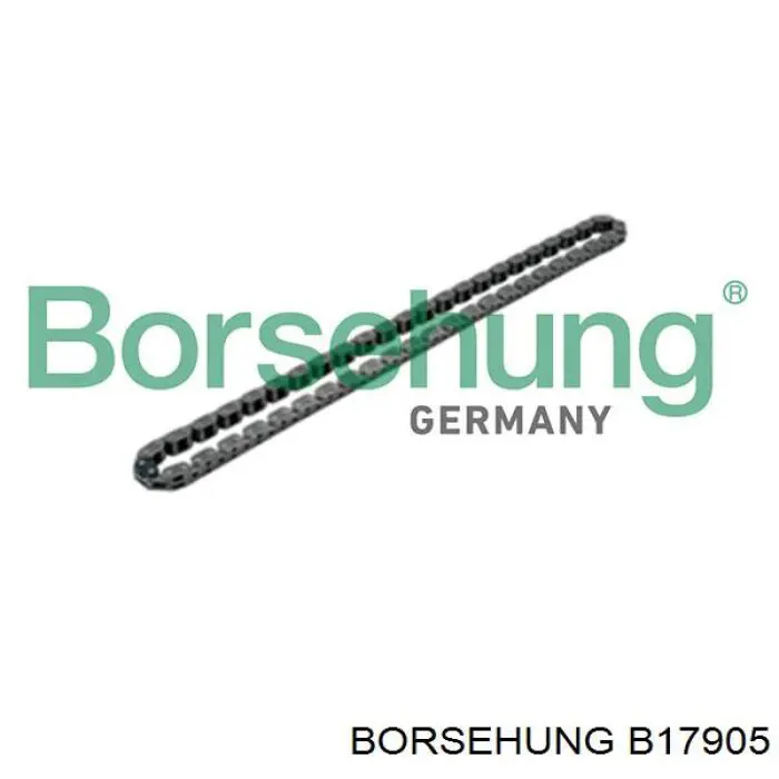 B17905 Borsehung Ланцюг маслянного насосу