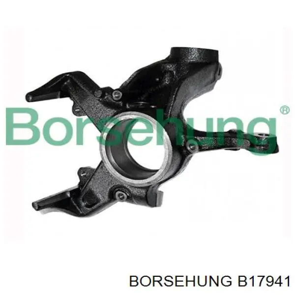 Цапфа поворотного кулака Borsehung B17941 ціна, від 60.57 USD