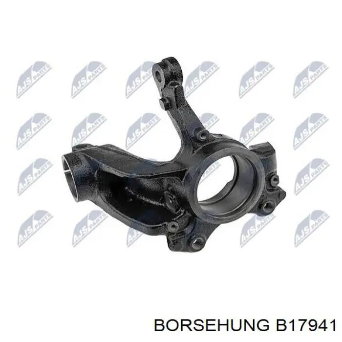 Купити B17941 Borsehung Цапфа передня ліва