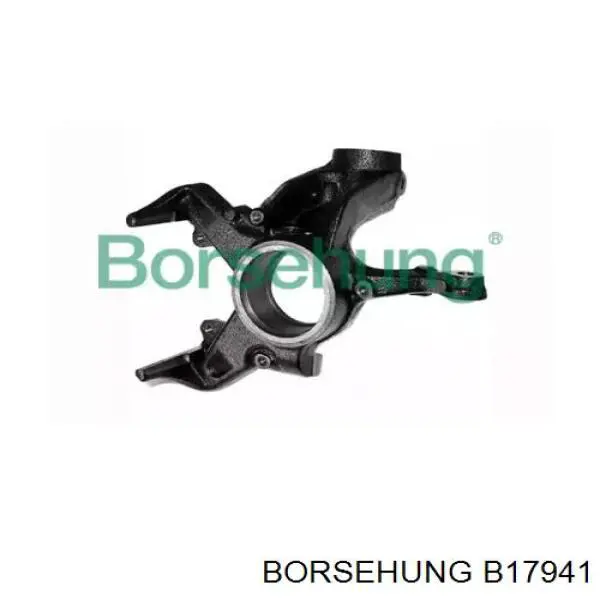 B17941 Borsehung Цапфа - поворотний кулак передній, лівий