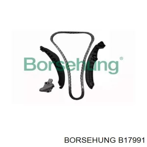 Ланцюг ГРМ, комплект Borsehung B17991
