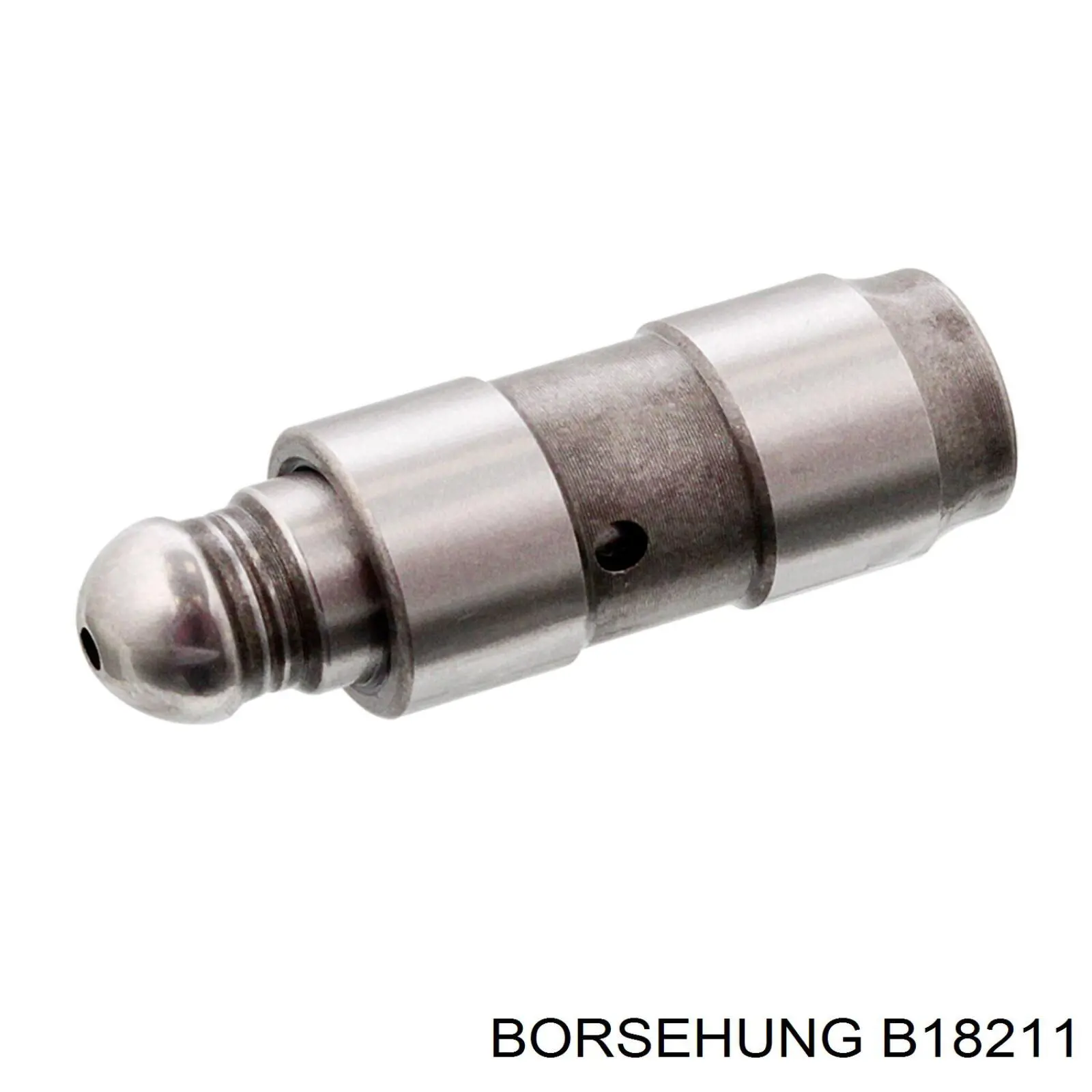 Купити B18211 Borsehung Штовхач клапанів двигуна