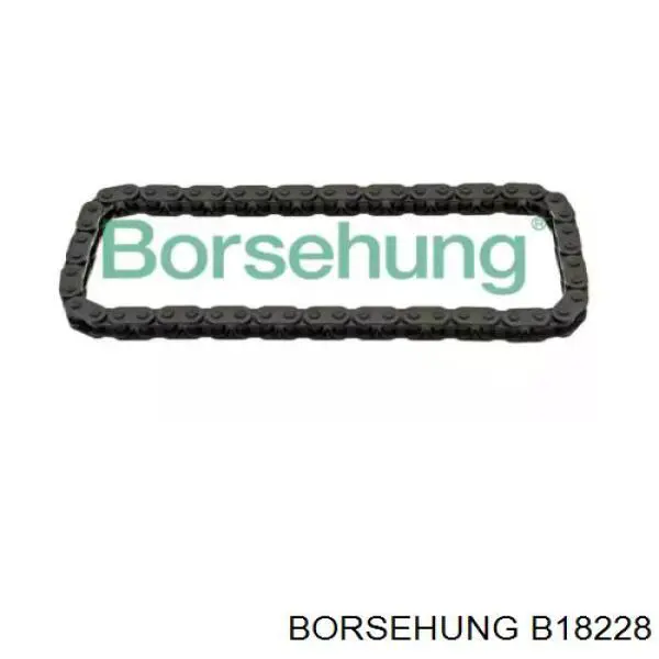 Ланцюг масло насоса Borsehung B18228 ціна, від 30.42 USD