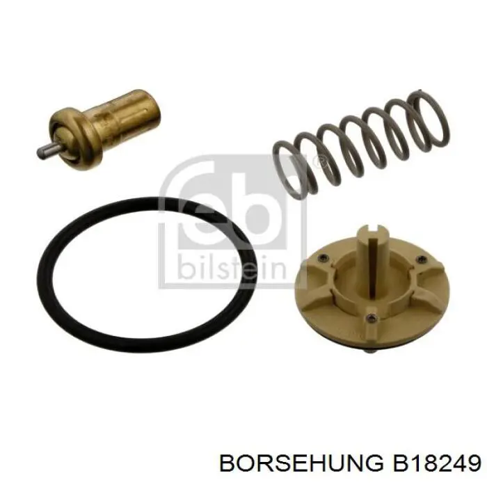 Купити B18249 Borsehung Корпус термостата