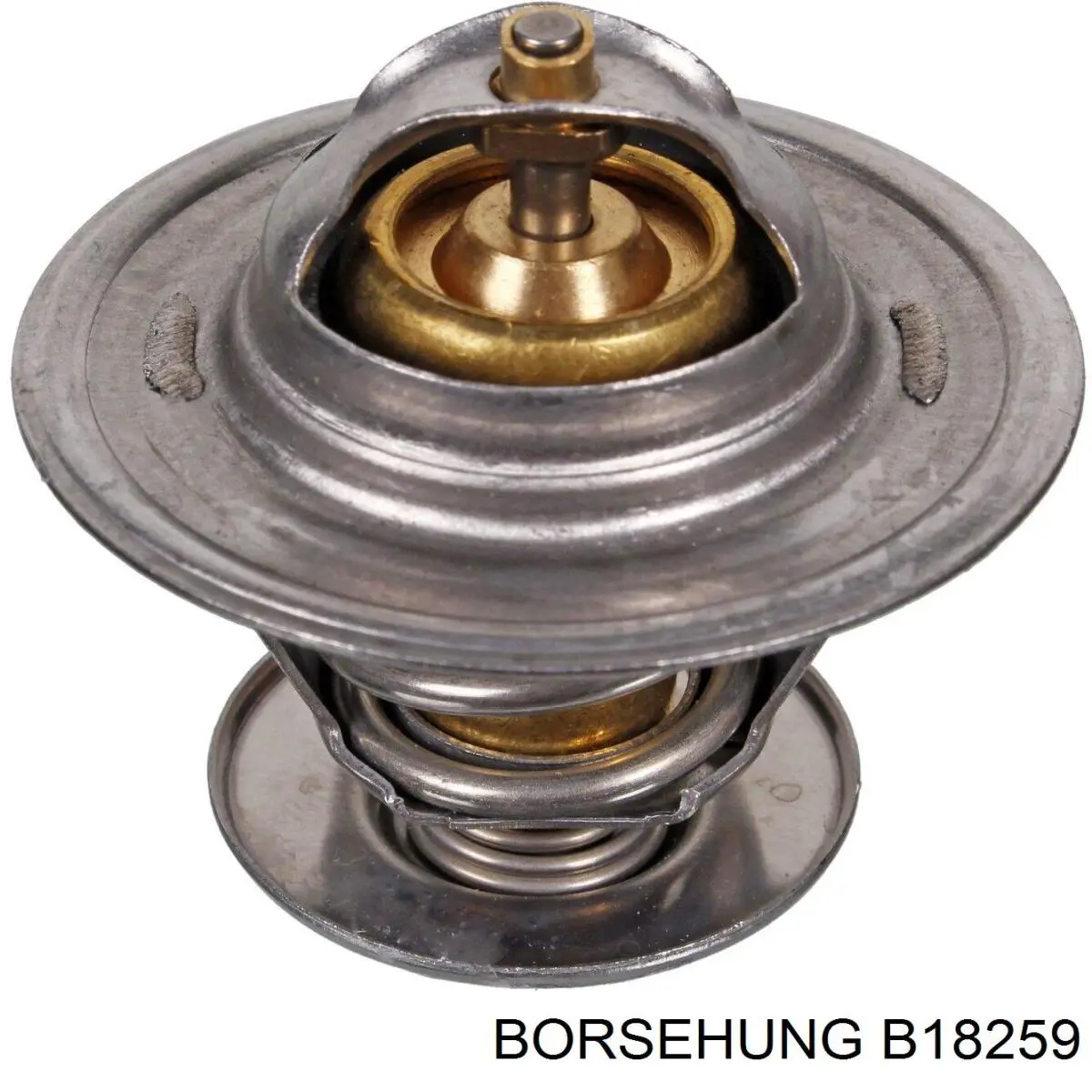 B18259 Borsehung термостат