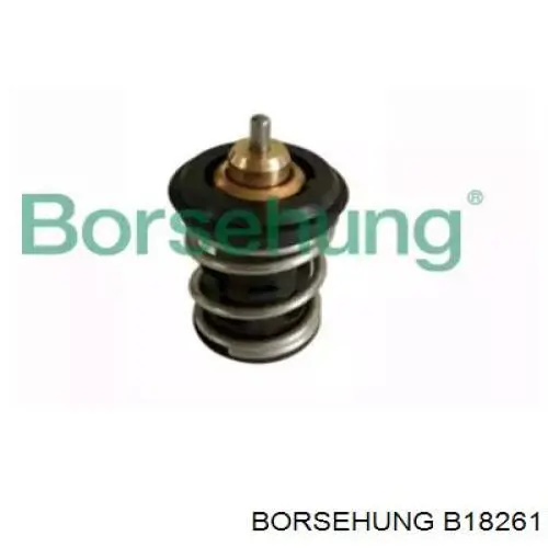 Термостат B18261 Borsehung