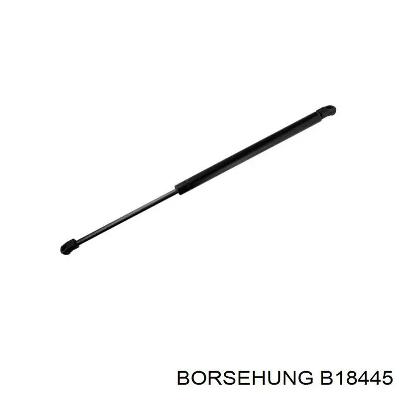 Купити B18445 Borsehung Амортизатор двері багажника