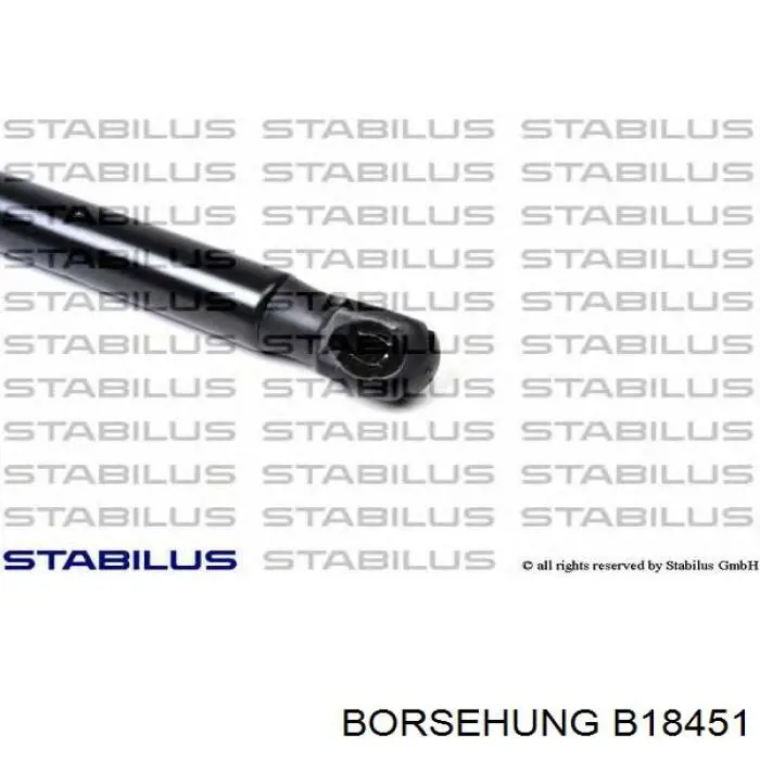 Купити B18451 Borsehung Амортизатор під капот
