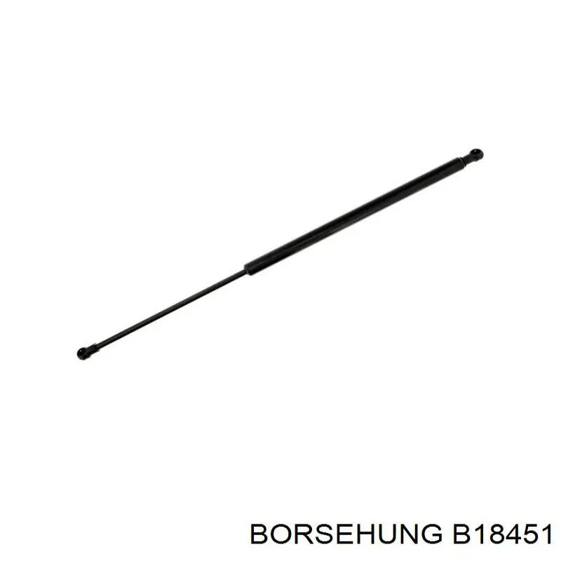 Амортизатор капота газовий Borsehung B18451 ціна, від 13.35 USD
