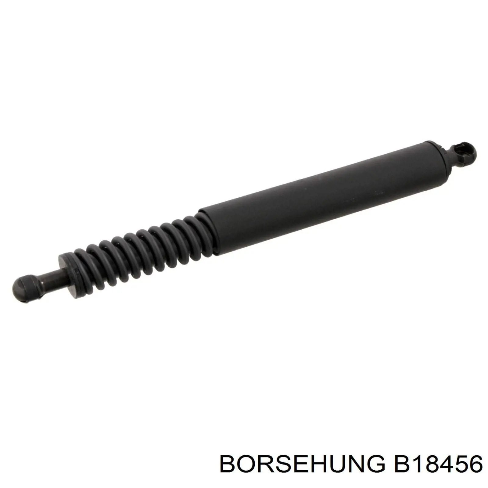 Купити B18456 Borsehung Амортизатор двері багажника