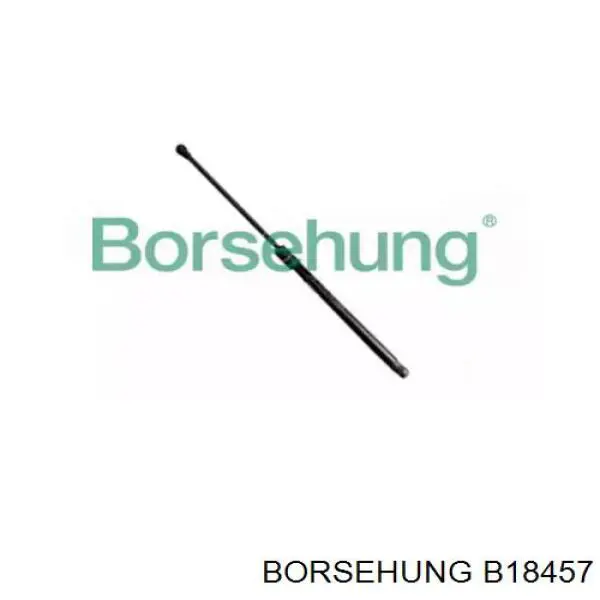 Амортизатор скла задніх, 3/5-ї двері (ляди) Borsehung B18457 ціна, від 9.11 USD