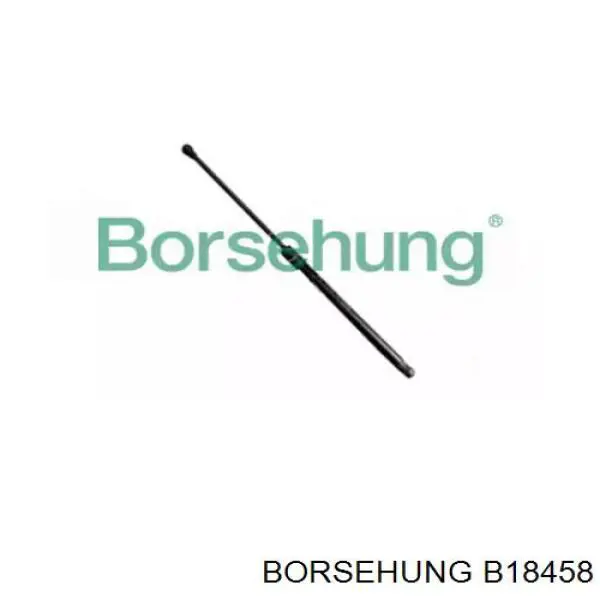 Амортизатор двері задньої Borsehung B18458 ціна, від 24.07 USD