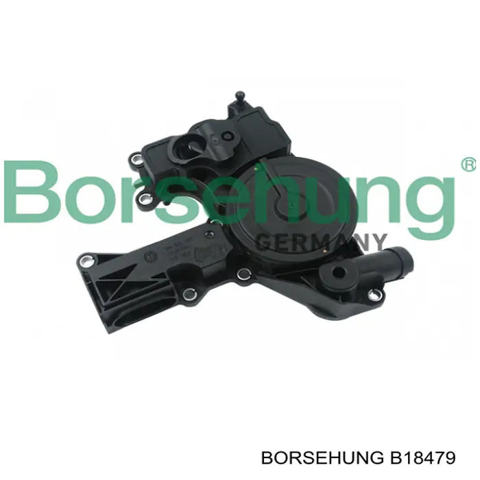 Купити B18479 Borsehung Масловіддільник
