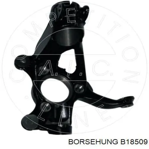 Купити B18509 Borsehung Кулак поворотний передній правий