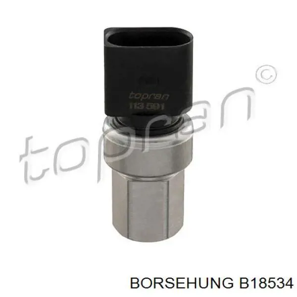 B18534 Borsehung Датчик тиску