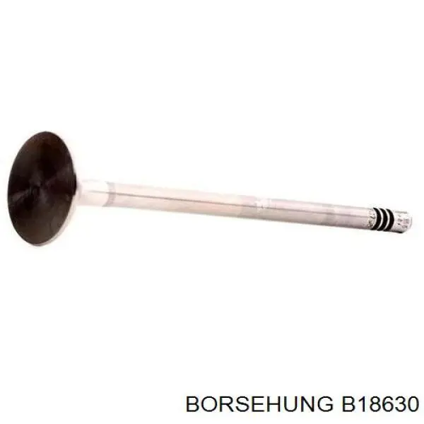 Купити B18630 Borsehung Клапан випускний