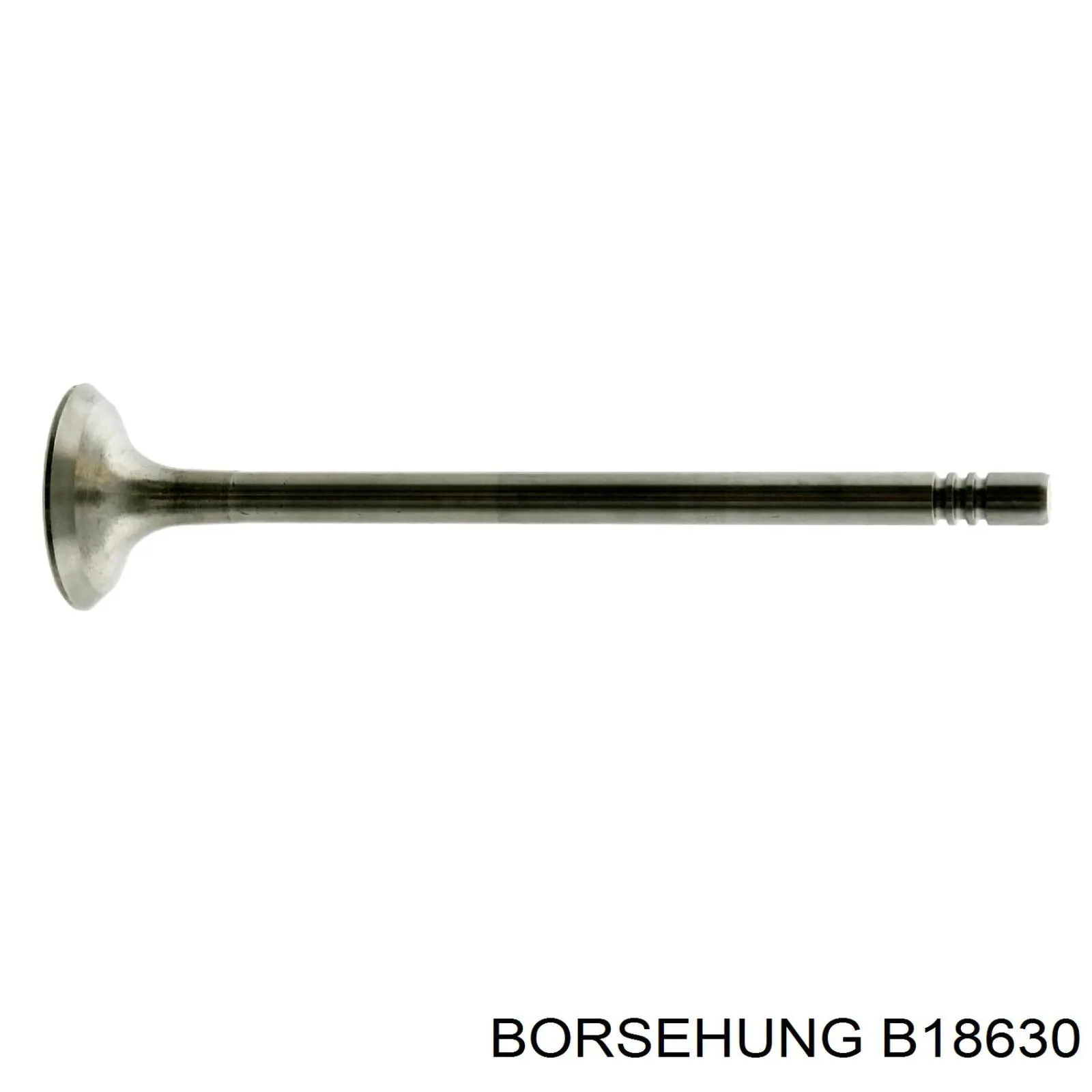 Клапан випускний B18630 Borsehung
