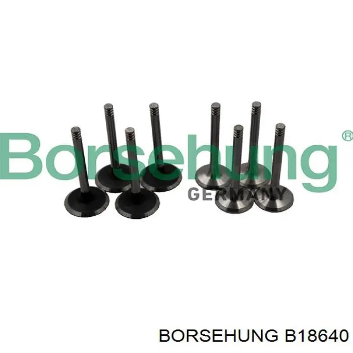 Клапана двигуна, комплект Borsehung B18640 ціна, від 54.65 USD