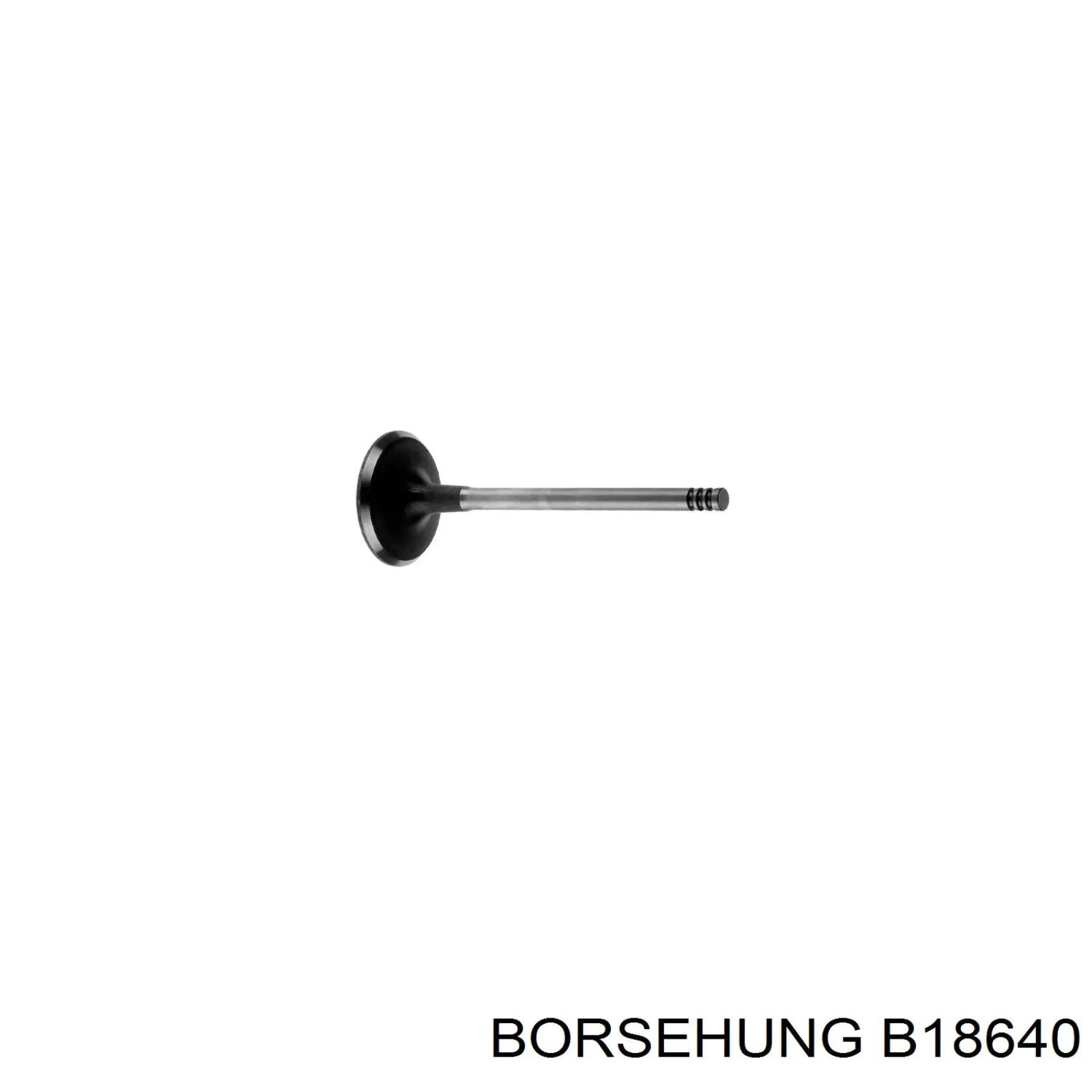 B18640 Borsehung Клапана двигуна, комплект