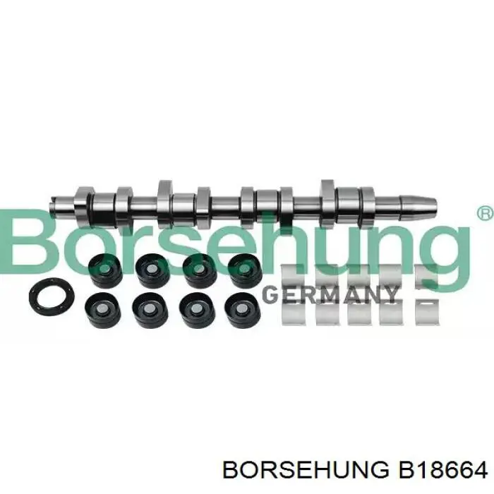  B18664 Borsehung