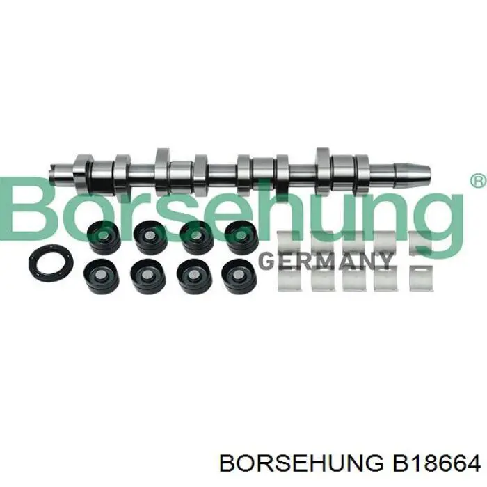 Розподільний вал двигуна, комплект Borsehung B18664 ціна, від 243.18 USD