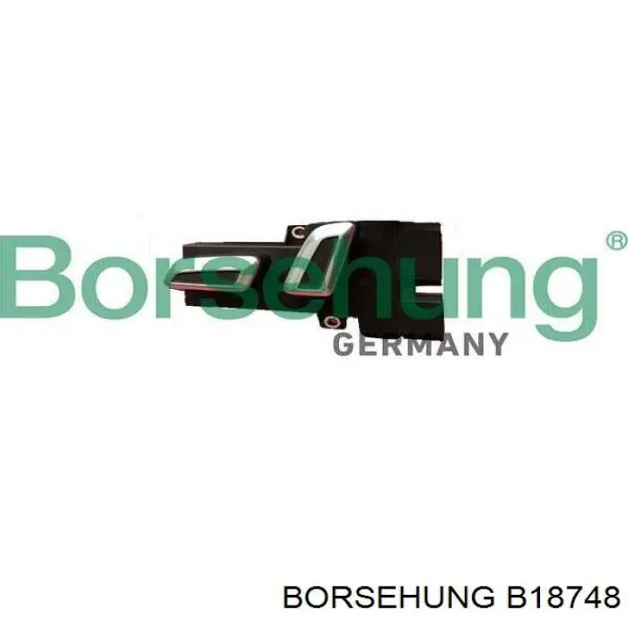  B18748 Borsehung