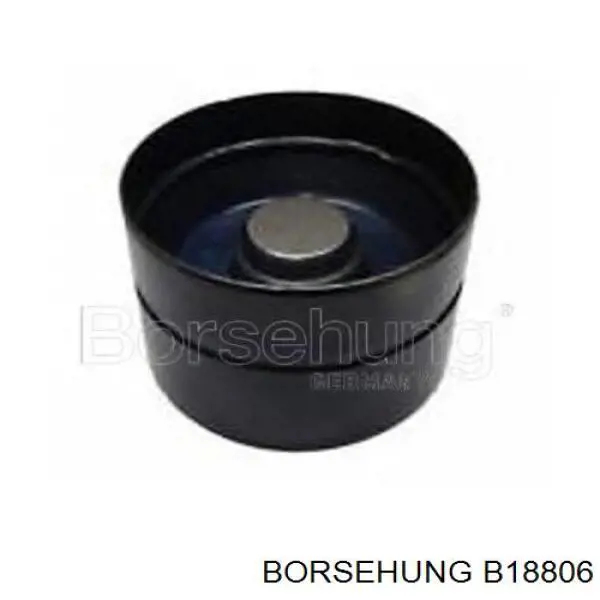 B18806 Borsehung Гідрокомпенсатор