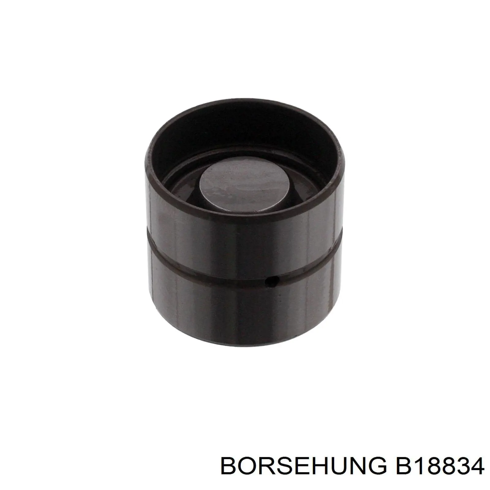 Штовхач клапана гідравлічний Borsehung B18834 ціна, від 6.05 USD