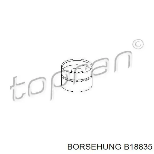 B18835 Borsehung Гідрокомпенсатор