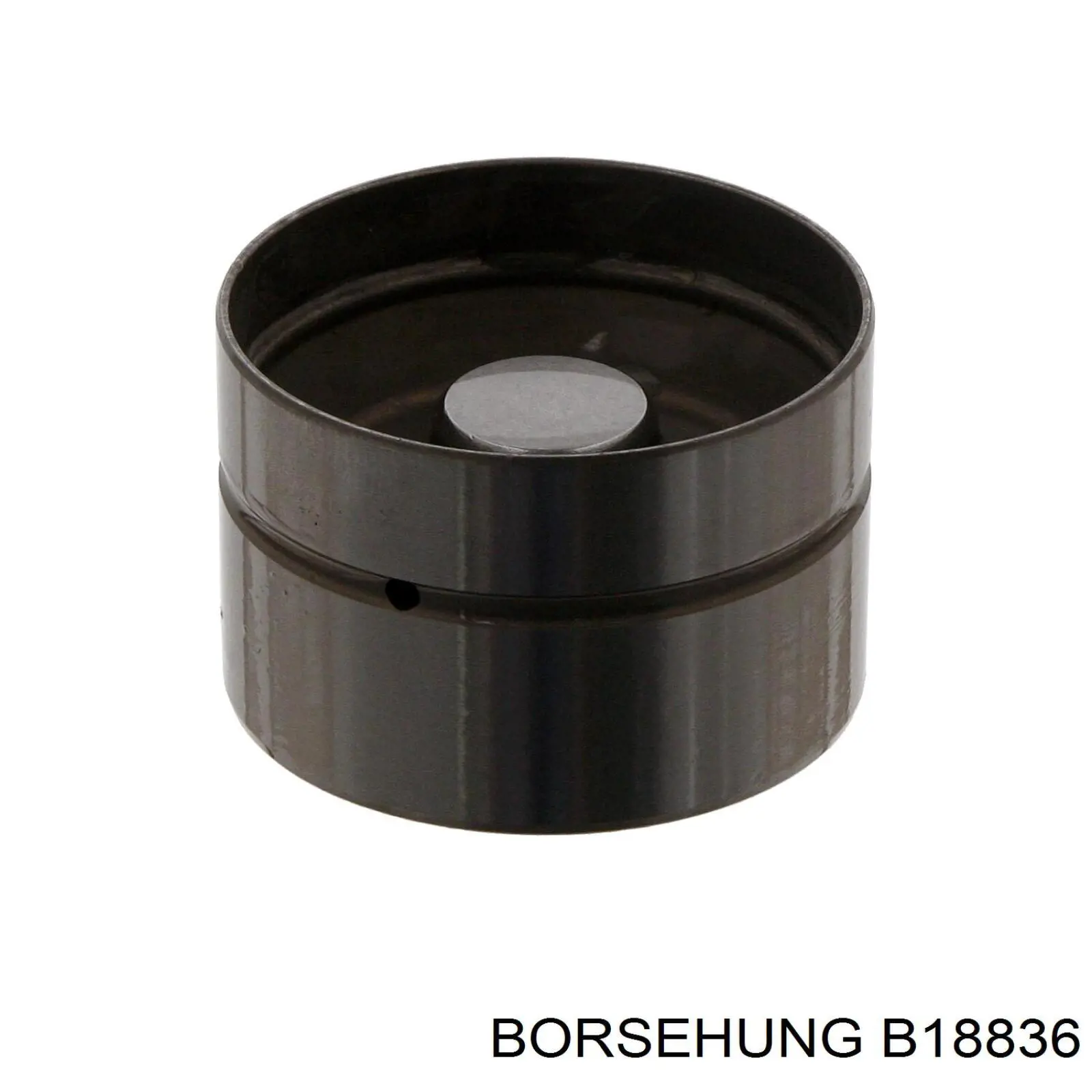 Штовхач клапана гідравлічний Borsehung B18836 ціна, від 5.73 USD