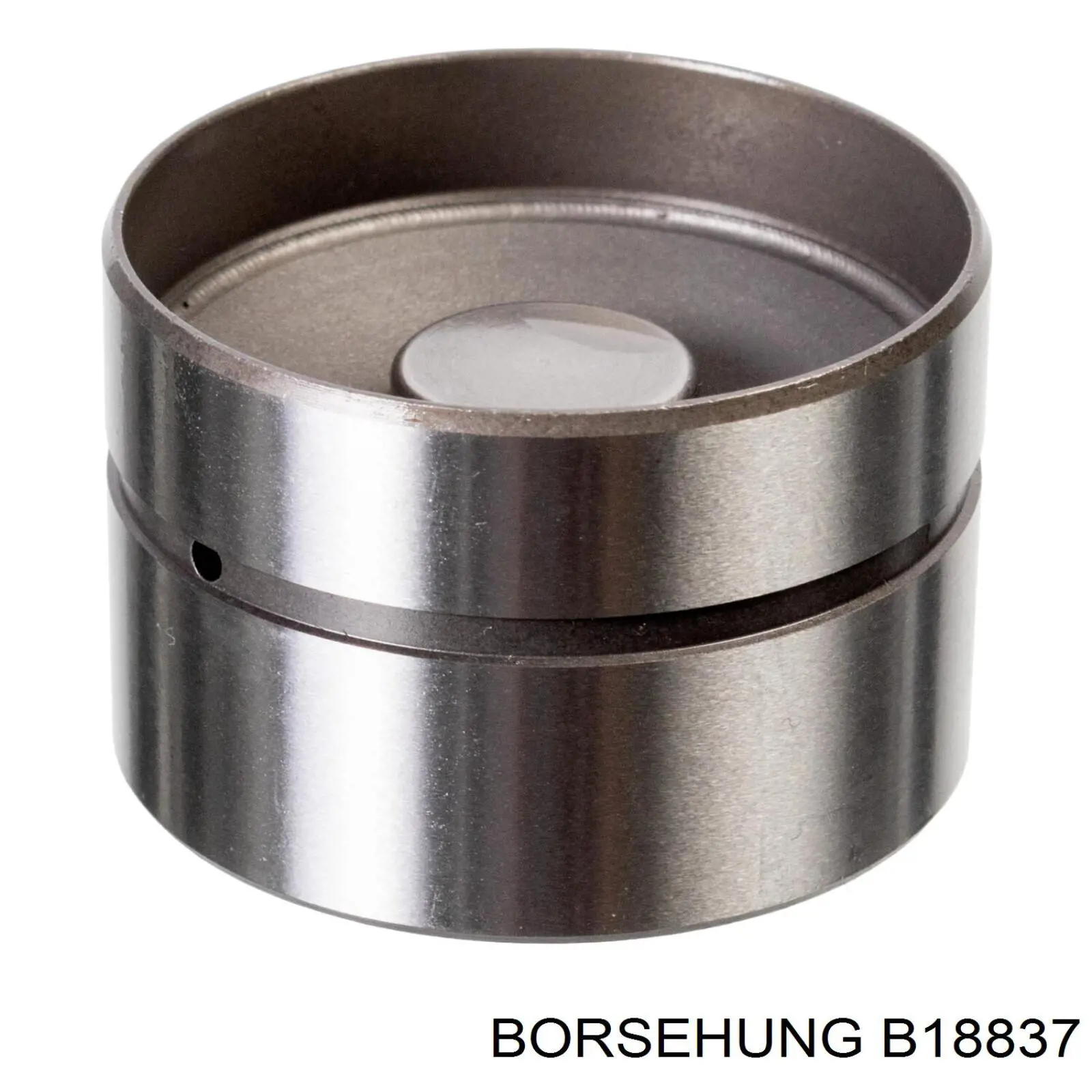 Штовхач клапана гідравлічний Borsehung B18837 ціна, від 5.35 USD