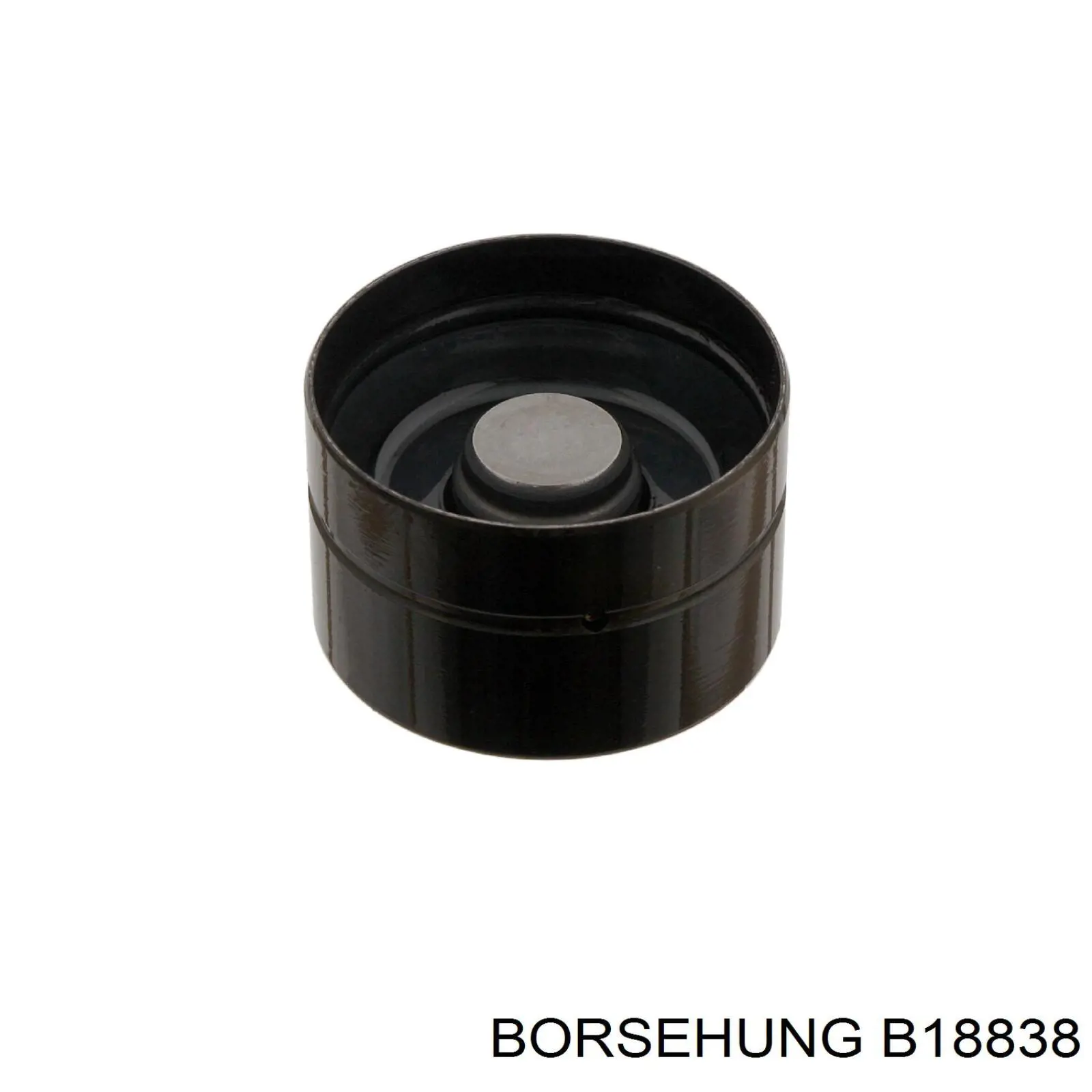 B18838 Borsehung Гідрокомпенсатор