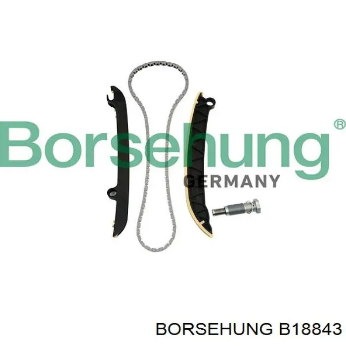 Купити B18843 Borsehung Комплект ланцюга ГРМ