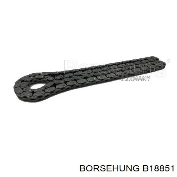 B18851 Borsehung