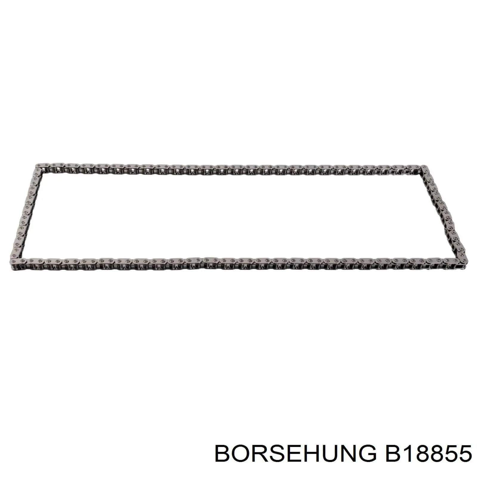 B18855 Borsehung ланцюг грм, комплект