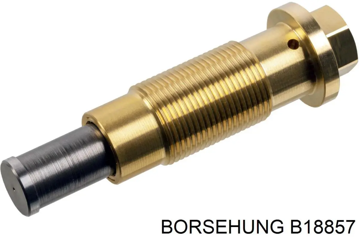 Купити B18857 Borsehung Комплект ланцюга ГРМ