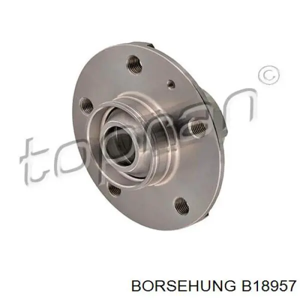 Купити B18957 Borsehung Маточини передніх коліс