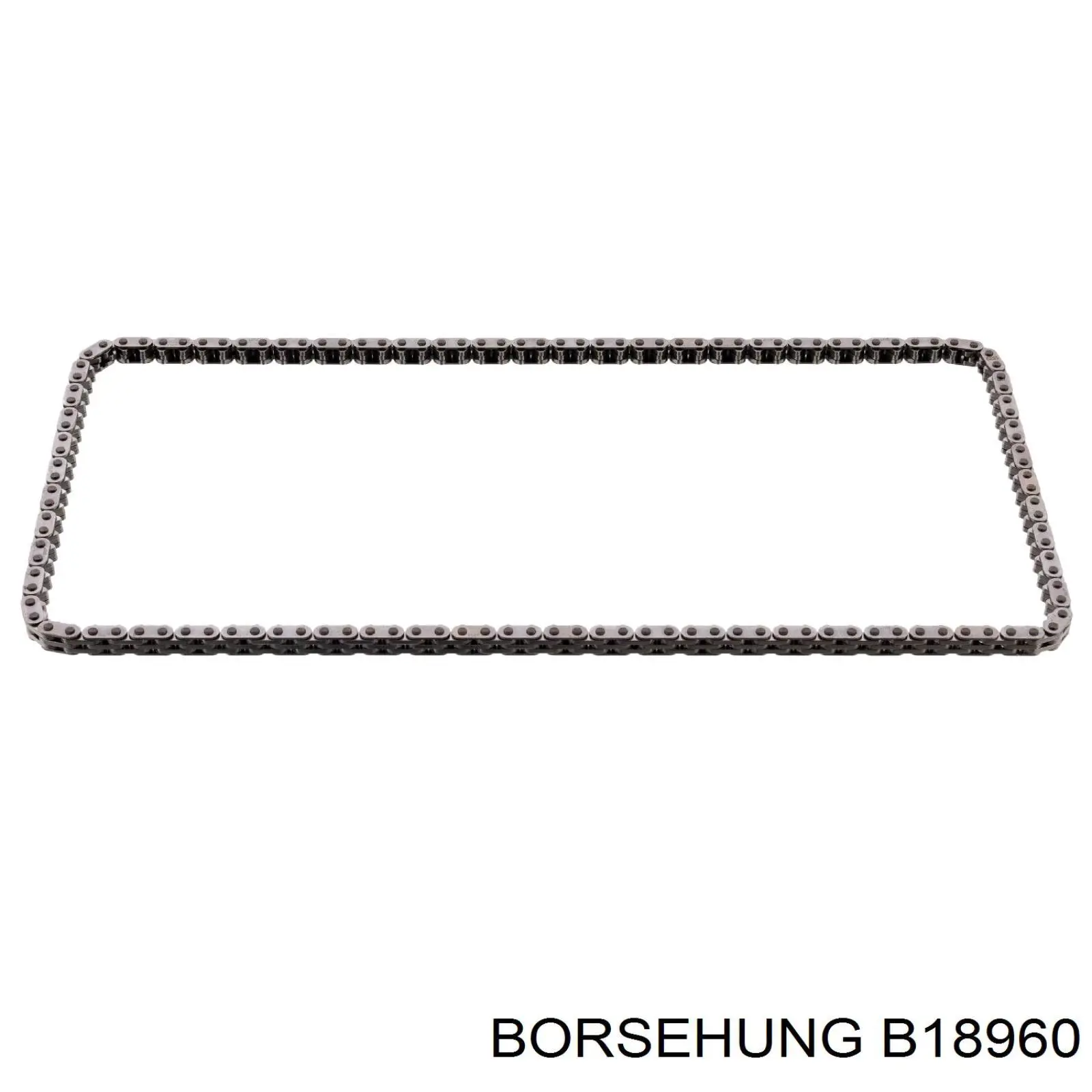 Ланцюг ГРМ, комплект Borsehung B18960 ціна, від 85.99 USD